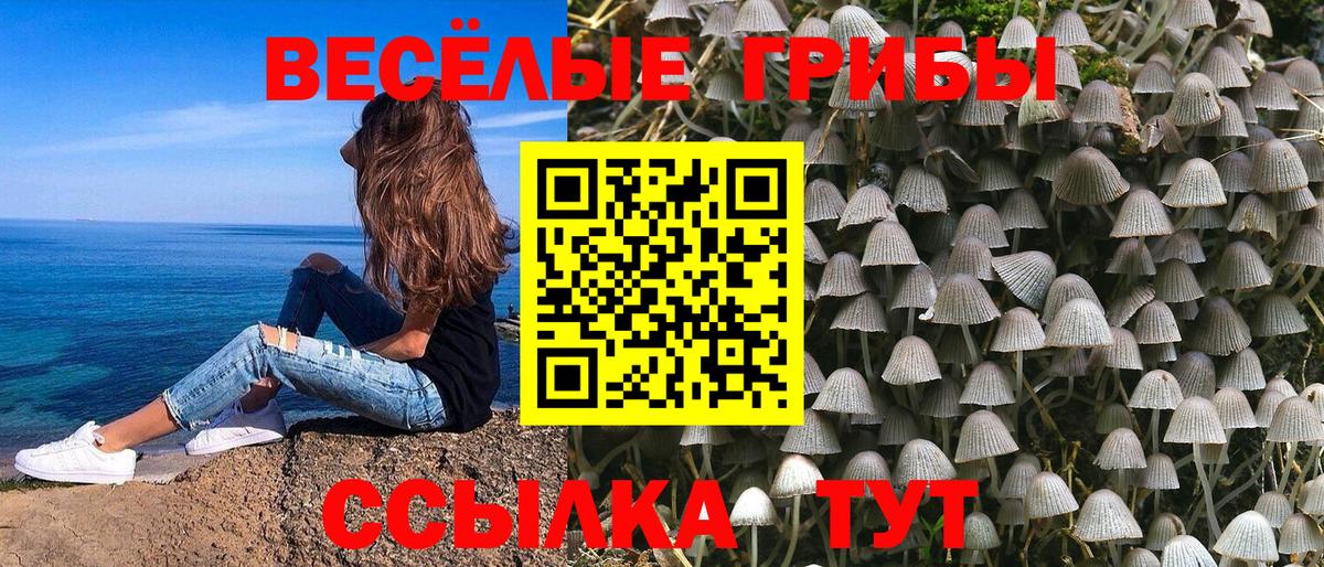 где купить наркотик  Псилоцибиновые грибы Psilocybine cubensis  Вход с VPN  Стрежевой 